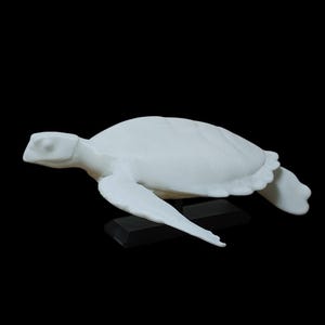 May include: A white sculpture of a sea turtle with outstretched flippers, mounted on a black rectangular base. The turtle's shell has a textured appearance, and the sculpture is set against a black background.