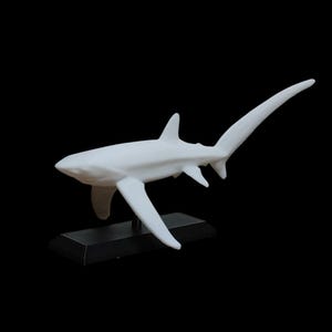 May include: White figurine of a thresher shark with a long tail, displayed on a black base.