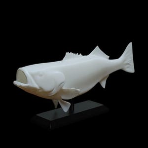 Striped Bass Fish Mount 6.5&quot; Mini - Nautical Decor - Eco-Friendly 3D Printed - Paint Your Own DIY Craft