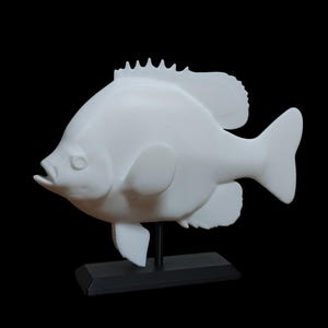 May include: White ceramic sculpture of a fish with a spiky dorsal fin, mounted on a black base.