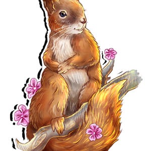 Squirrel Sitting Pretty  | Original Artwork | Animal Sticker | Gift for Animal Lovers, Nature Lovers | Very Detailed | Waterproof Vinyl
