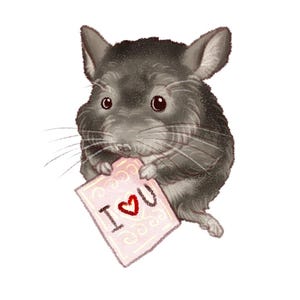 Chinchilla Love Fest / Opera d'arte originale / Animale domestico da classe / Fustellato / Cincilla coccoloso / Cartello "Ti amo" / Adesivo impermeabile