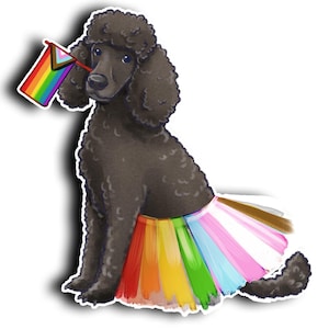 Barboncino Progress Pride / Parata dell'orgoglio / Opera d'arte originale colorata / Fustellato / Bandiera progressista dell'orgoglio / Impermeabile / Cane dell'orgoglio / Animale domestico dell'orgoglio