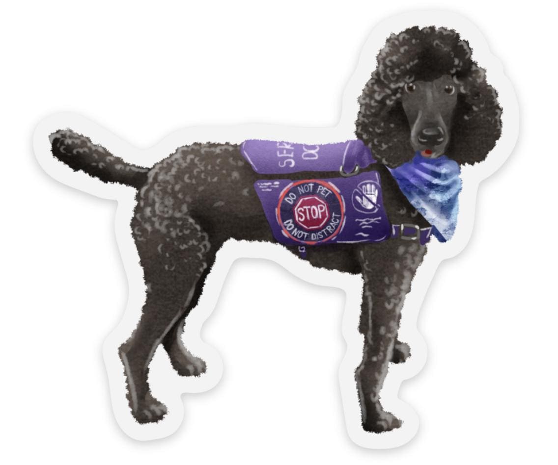 Poodle Service Dog