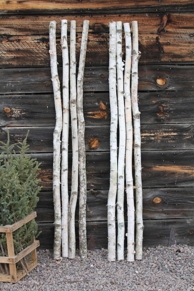 white birch poles