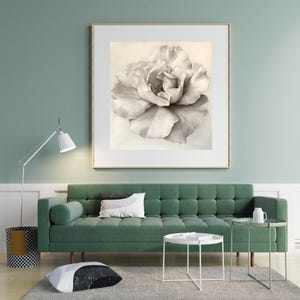 Minimalist pencil sketch of a single flower, Camelia, Botanical Print, Flower Print, Botanical Wall Art, Printable Wall Art, Digital Print.