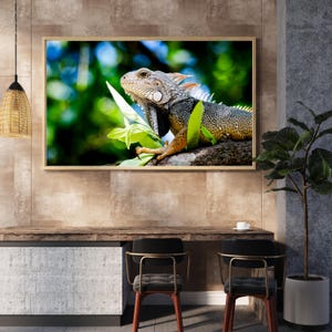 Una iguana verde descansando bajo la luz del sol – Impresión fotográfica de vida silvestre tropical