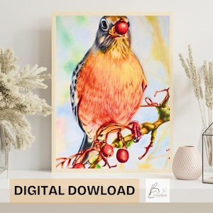 American Robin Bird Original Colored Pencil Drawing on Illustration Board, Digital Print, Original Hand Drawing, Colored Pencil Drawing