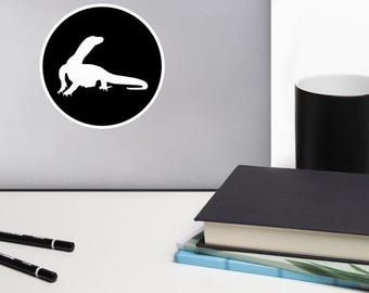 Duluth Monitor Icon Vinyl Stickers