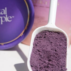 High Flavanol Cocoa Powder | Low Cadmium Cacao | Purple Cocoa | Raw Cacao Powder | Ecuadorian Heirloom Cacao | 6 oz 17 Servings