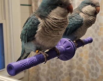 Suction Cup Bird Perch | Window & Shower Perch for Parakeets, Cockatiels, and Conures | Fits Finches to Cockatoos | Stick On | Custom Colors