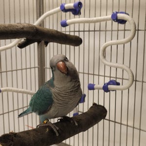 Flexible Bird Perch | Posable Rope Perch for Parakeets, Cockatiels & Conures | Bendable, Customizable | Cage, Playstand