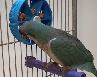 Bird Forage Wheel | Reload from Outside the Cage! | Cage-Mounted Interactive Foraging Toy | Parrots, Parakeets, Cockatiels, Rodents, & More