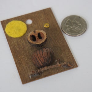May include: A brown wooden tag with a yellow felt circle, two brown nut shells, a small twig, and a gold-colored metal accent.