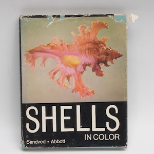 May include: A vintage book titled "SHELLS IN COLOR" featuring a detailed seashell illustration in pink, orange, and yellow. The book has a black border and the title is in white block letters. The book is slightly worn, with some damage to the top edge.