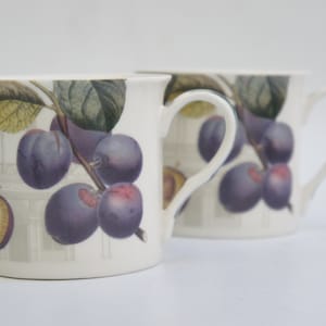 Vintage Kew Gardens London Botanischer Druck Porzellan Tassen Tassen Cottagecore Bauernhaus Geschenk