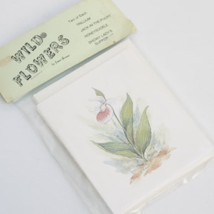 Cartões de impressão botânica de flores silvestres vintage Dead Stock com envelopes, presente retrô de meados do século
