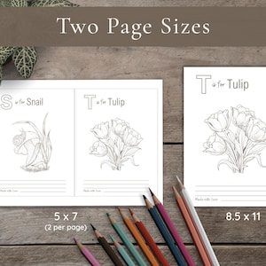 Visual comparison of the two provided PDF sizes. The 5x7 size is shown as two-per-page on a horizontal sheet with trim marks; the 8.5x11 size is a full-page vertical layout.