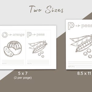 May include: Two white pages with illustrations of an orange and peas, labeled "O is for orange" and "P is for peas". The text "Two Sizes" is at the top. The sizes are 5 x 7 inches and 8.5 x 11 inches.