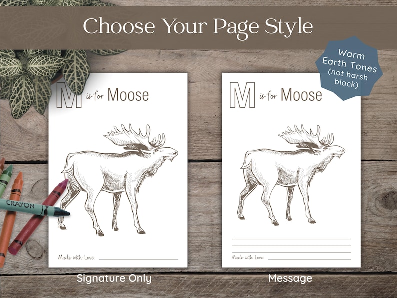 ABC Coloring Book Baby Shower Guest Book Alternative | Moose and Mountain Outdoor Theme 1st Birthday image 4