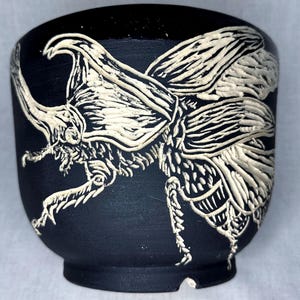 Japanese Rhino (Kabuto Mushi) Beetle Planter