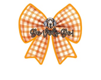 GO VOLS GO