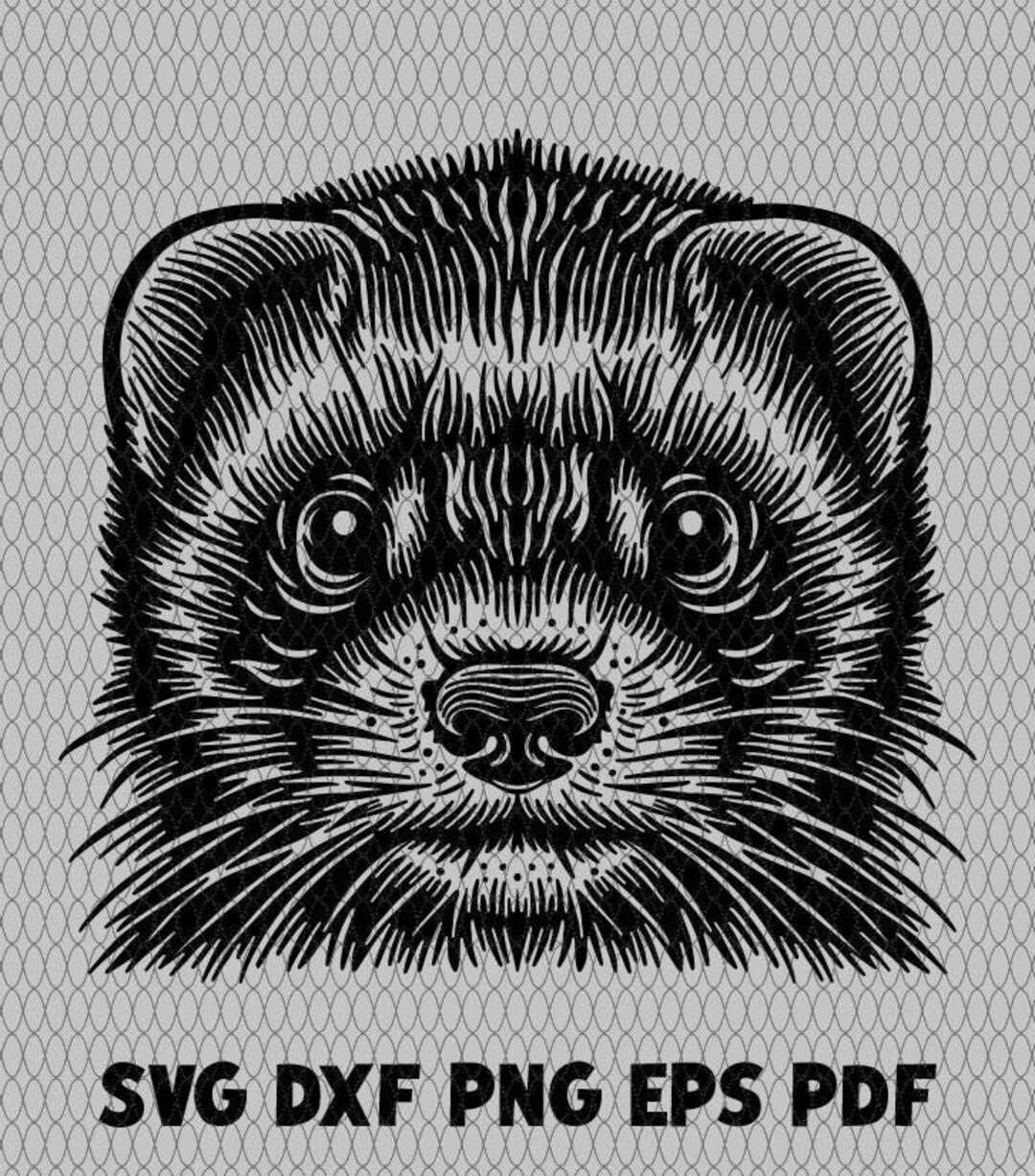 ferret-pet-mustelidae-svg-png-dxf-eps-pdf-vector-graphic-cricut-cut