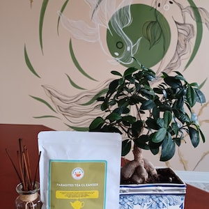 May include: A white pouch labeled "PARASITES TEA CLEANSER" with a yellow teapot graphic, next to a bonsai tree in a blue and white pot. Incense sticks are in a glass jar. The background features a beige wall with a fish mural.