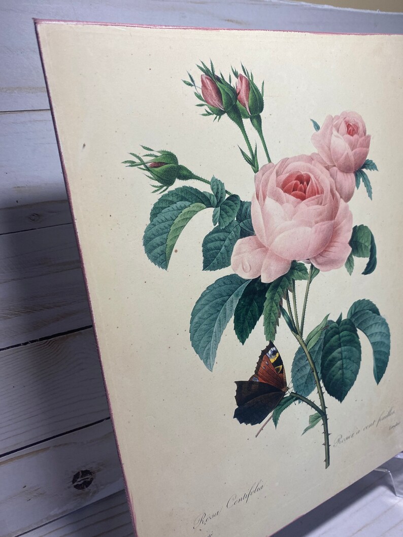 French Floral Wall Art Shabby Chic Wall Decor Pink Rose and Etsy