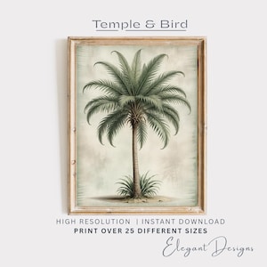 Arte mural de palmera botánica / Impresión de inspiración tropical / Descarga instantánea VB9