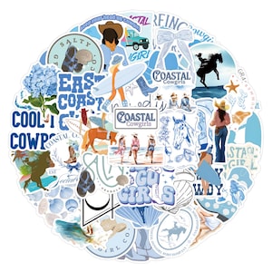 Cowgirl stickers, Viny stickers,10-50Pcs Random pack, FREE Shipping, Waterproof sticker, Laptop stickers, Water bottle stickers