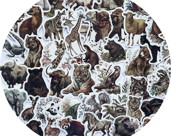 Zoo Animal stickers, Viny stickers,10-50Pcs Random pack, FREE Shipping, Waterproof sticker, laptop stickers, Water bottle stickers
