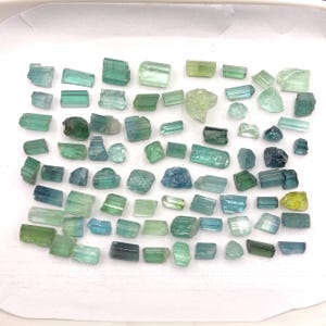 Puede incluir: Una colección de cristales de turmalina en bruto en varios tonos de verde, azul y turquesa. Los cristales son de diferentes tamaños y formas, con una mezcla de piezas opacas y translúcidas. Están dispuestos sobre una superficie blanca.