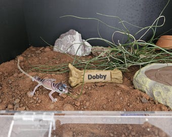Aanpasbaar naamlogboek, gepersonaliseerd naambordje op logboek, reptielendecor, cadeau voor reptielenliefhebber, huisdierreptiel, huisdierslang, huisdierhagedis, huisdierspin