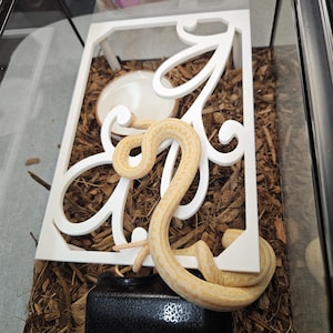 Snake perch, 3d printed perch, reptile accessory, snake perch with built-in water bowl, first reptile, snake enrichment