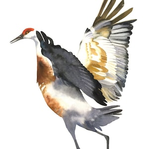 Sandhill Crane / Bird Watercolor Art / Limited Edition Double-matted GICLEE PRINT / Painting titled "The Elegant One"