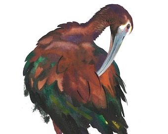 White-faced Ibis / Bird Watercolor Art / Limited Edition Double-matted GICLEE PRINT