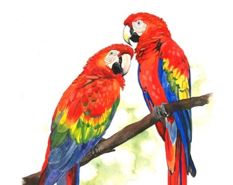 Scarlet Macaws / Bird Watercolor Art / Limited Edition Double-matted GICLEE PRINT