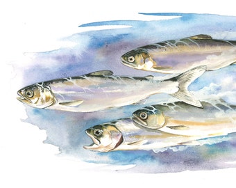 Salmón Chinook / Acuarela de peces / Impresión GICLÉE de edición limitada con doble paspartú / Pintura titulada "Carrera hacia el océano"