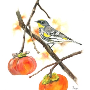 Yellow-rumped Warbler / Bird Watercolor Art / Limited Edition Double-matted GICLEE PRINT