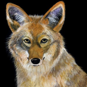 Coyote / Art gouache coyote / Impression Giclée double passe-partout en édition limitée / Tableau intitulé « The Clever One »