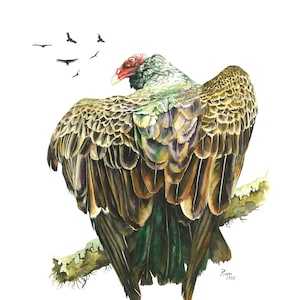 Avvoltoio / Acquerello di uccello / Stampa GICLÉE a doppio passepartout in edizione limitata / Dipinto intitolato &quot;Adorazione del sole&quot;