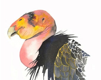California Condor / Bird Watercolor Art / Limited Edition Double-matted GICLEE PRINT / Painting titled "Beauty"