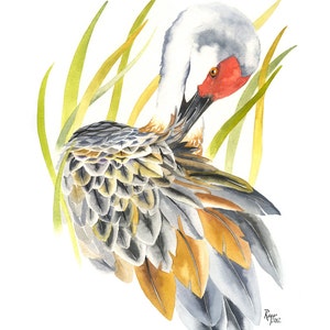 Sandhill Crane / Bird Watercolor Art / Limited Edition Double-matted GICLEE PRINT / Painting titled "Between The Reeds"