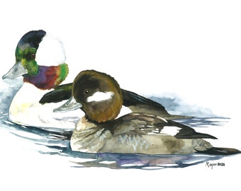 Buffleheads / Bird Watercolor Art / Limited Edition Double-matted GICLEE PRINT
