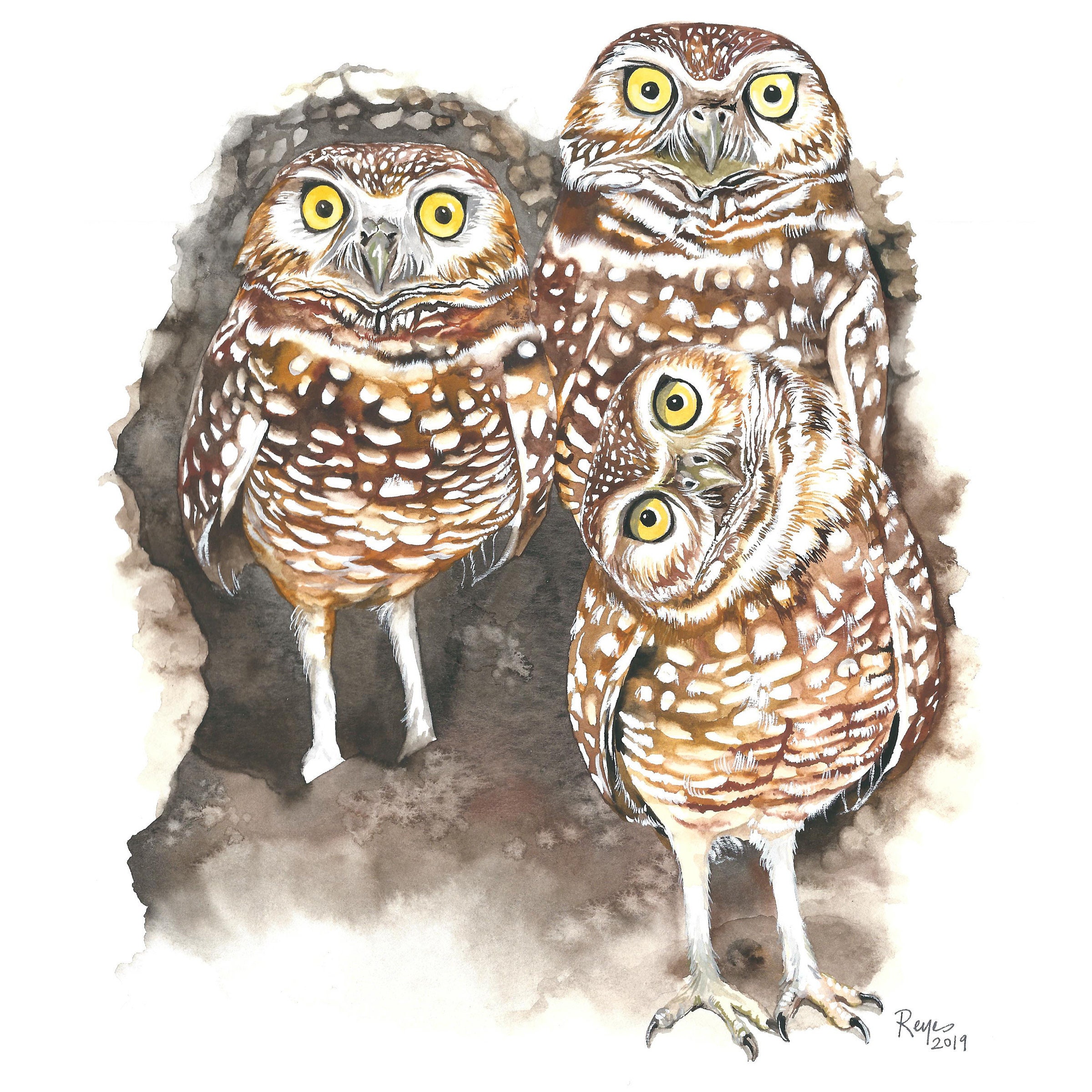 Burrowing Owls / Owl Gouache Art / Limited Edition Double-matted GICLEE PRINT / Painting titled &quo