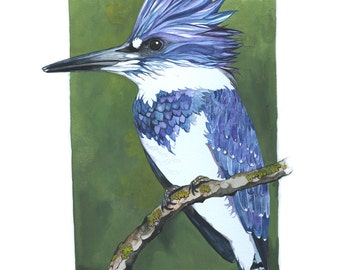 Belted Kingfisher / Bird Watercolor Art / Limited Edition Double-matted GICLEE PRINT