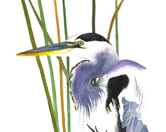 Garza azul / Acuarela de ave / Impresión giclée de edición limitada con doble paspartú