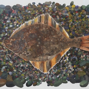 Starry Flounder / Fish Gouache Art / Limited Edition Double-matted GICLEE PRINT