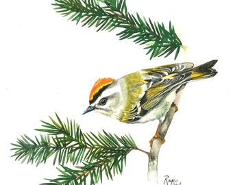 Golden-crowned Kinglet / Bird Watercolor Art / Limited Edition Double-matted GICLEE PRINT